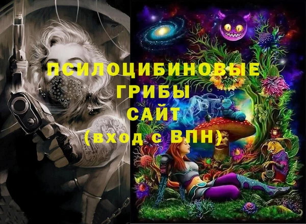 бутират Алексин