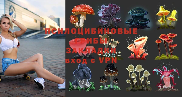 бутират Алексин