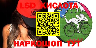 альфа пвп Новодвинск