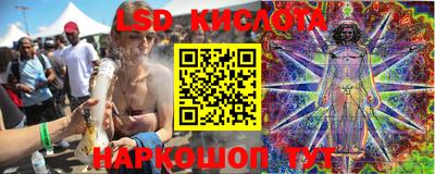 альфа пвп Новодвинск