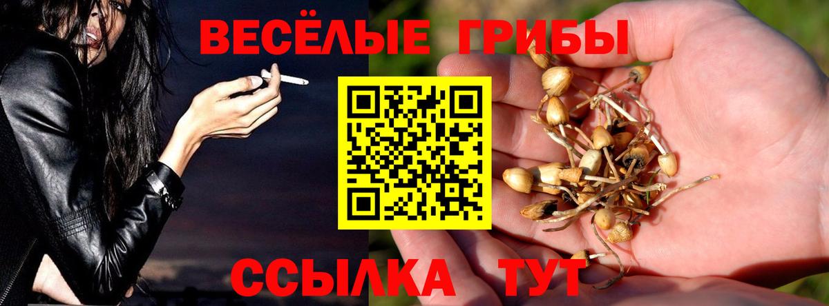 Чернушка  Галлюциногенные грибы ЛСД  Вход с VPN  Галлюциногенные грибы Psilocybe 